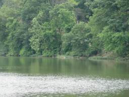 Springfield lake2.JPG